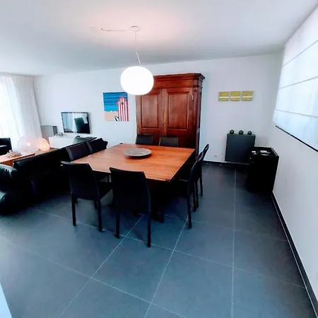 Penthouse Met Groot Terras Lejlighed *
